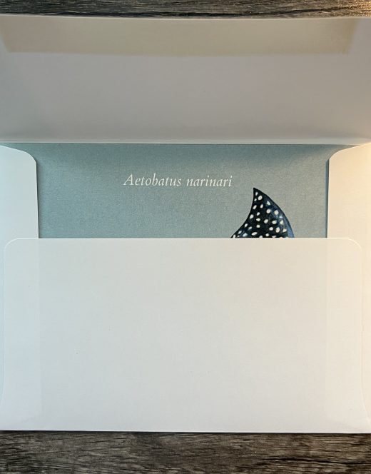 Spotted Eagle Ray Greeting Card